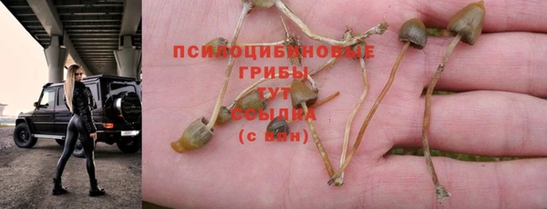 ешки Баксан