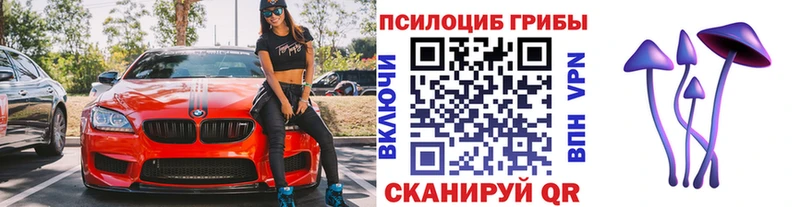 Псилоцибиновые грибы мицелий  наркошоп  Луга 